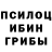 Псилоцибиновые грибы ЛСД poppy McCreanor
