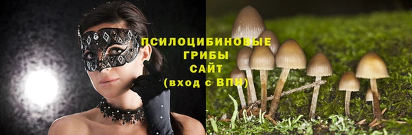 герыч Зеленокумск