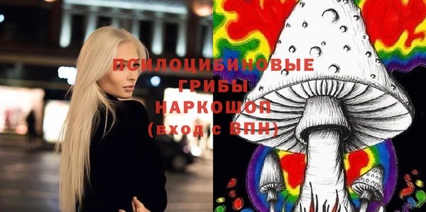 бутират Инта