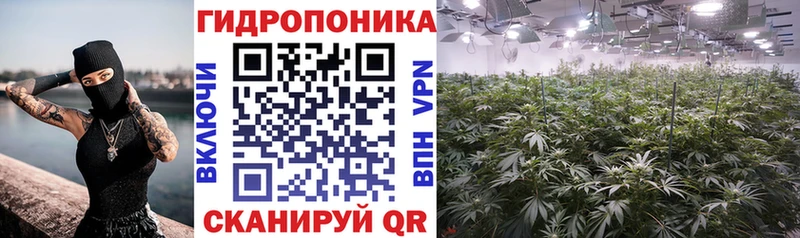 Бошки Шишки гибрид  кракен tor  Княгинино 